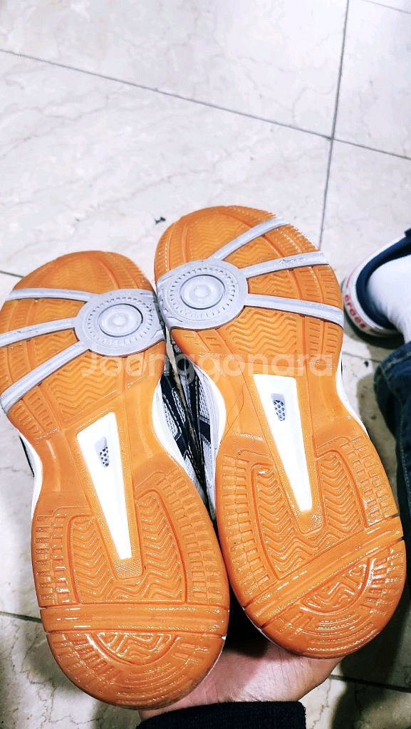 로테리브레 255 s급 체대입시화--6