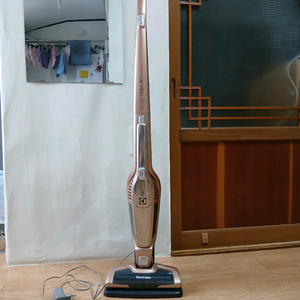 일렉트로룩스 무선청소기