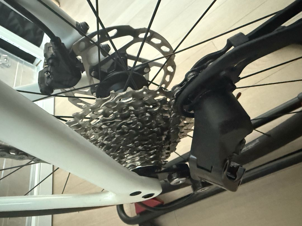 스페셜라이즈드 타막sl7스포츠 풀105 카본 새차 이미지