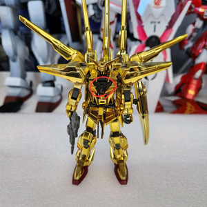 HG 아카츠키 건담 정크