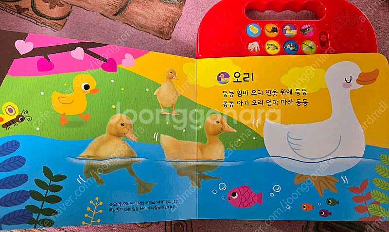 가격내려요))애플비 사운드북세권외 유아책 첫명화그림책--4