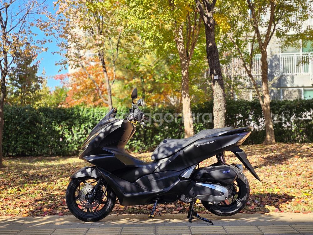(서울)혼다 PCX125ABS 21년식 판매합니다~ NMAX 포르자 XMAX 슈퍼커브 ADV 씨티 스쿠터--2