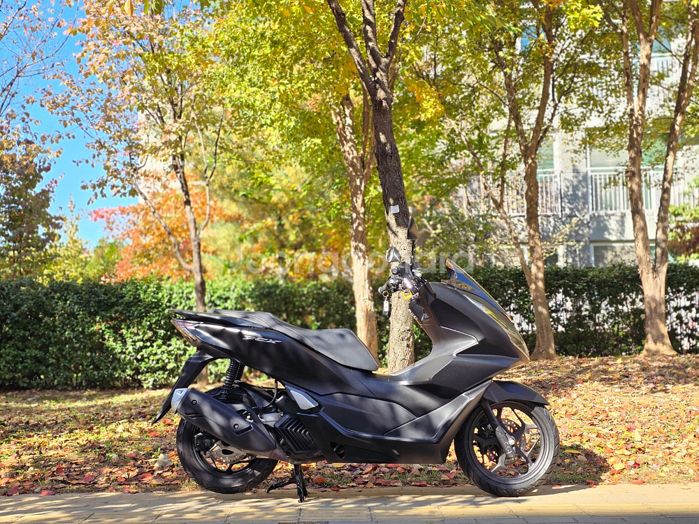 (서울)혼다 PCX125ABS 21년식 판매합니다~ NMAX 포르자 XMAX 슈퍼커브 ADV 씨티 스쿠터--1