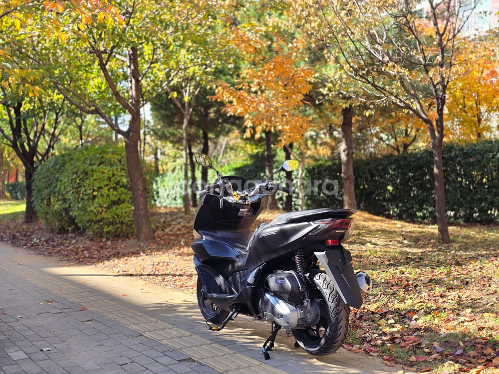 (서울)혼다 PCX125ABS 21년식 판매합니다~ NMAX 포르자 XMAX 슈퍼커브 ADV 씨티 스쿠터--5