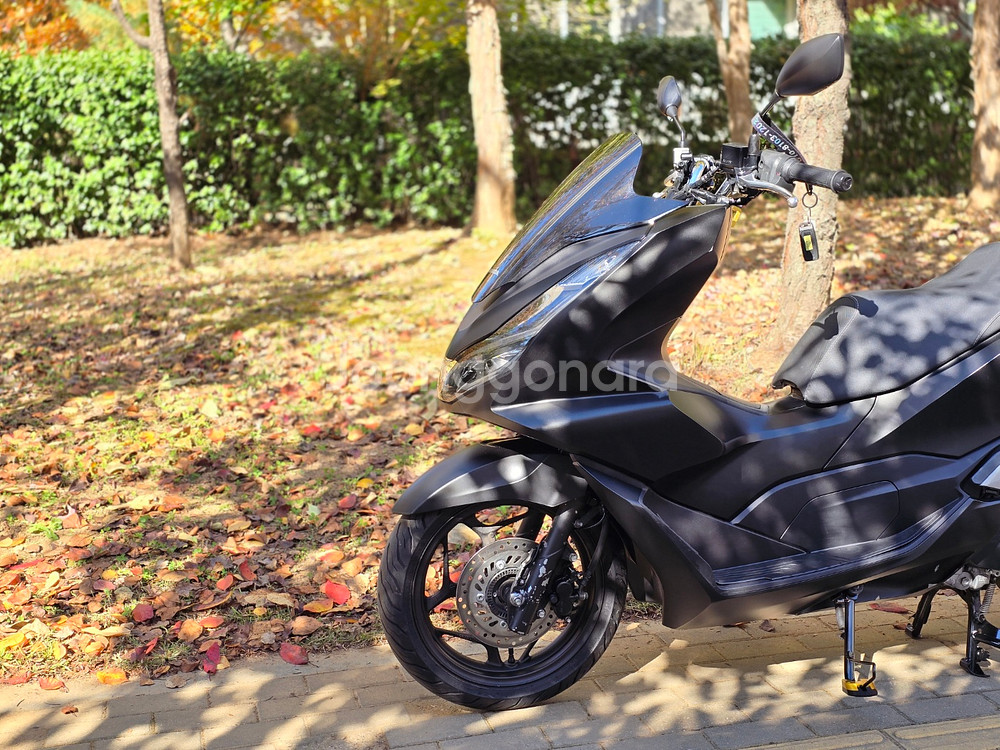 (서울)혼다 PCX125ABS 21년식 판매합니다~ NMAX 포르자 XMAX 슈퍼커브 ADV 씨티 스쿠터--9