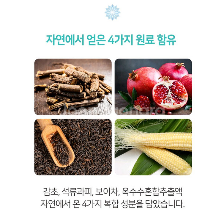 [택포]티스몬스터(대왕칫솔)22개/대용량2080치약2개--7