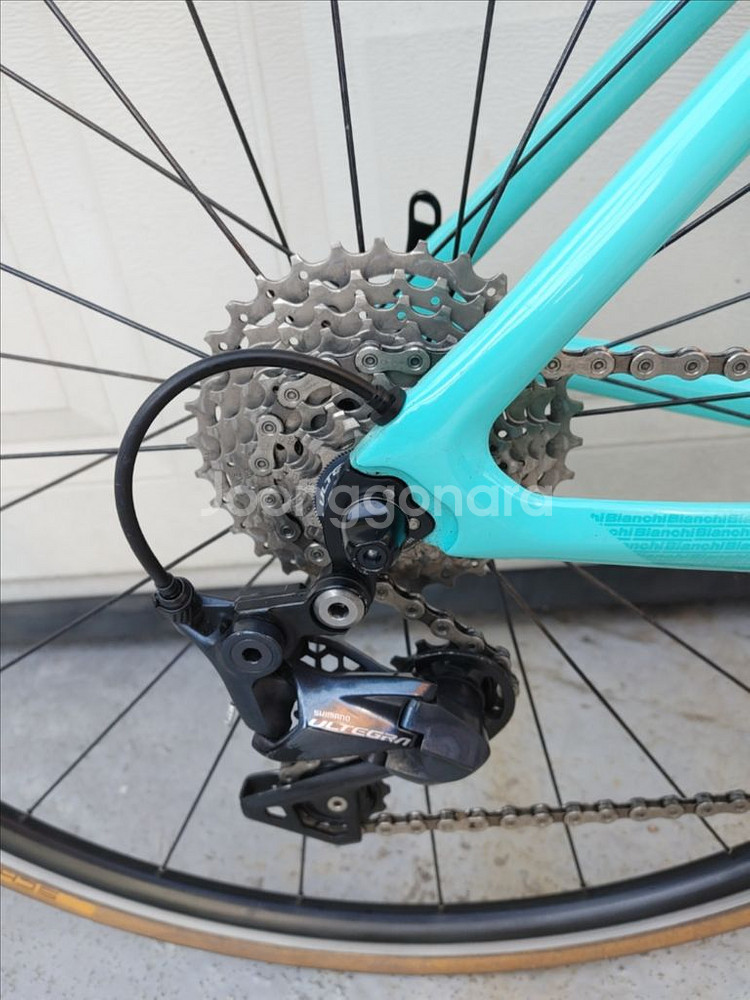 23년 비앙키 스프린트 풀 울테그라 카본 로드자전거--4
