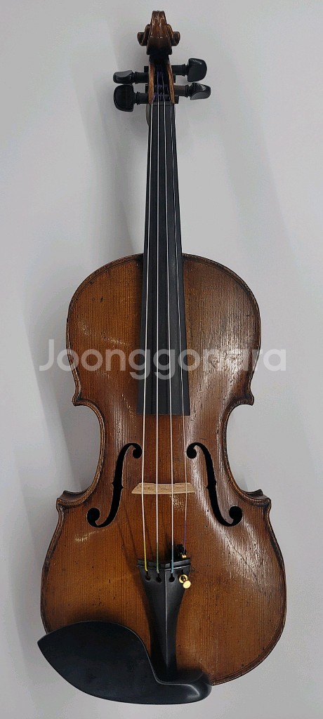 바이올린 4/4 올드 니콜라우스 아마투스--0