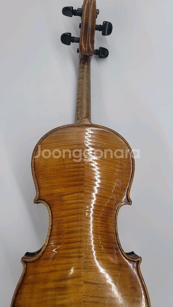 바이올린 4/4 올드 니콜라우스 아마투스--5