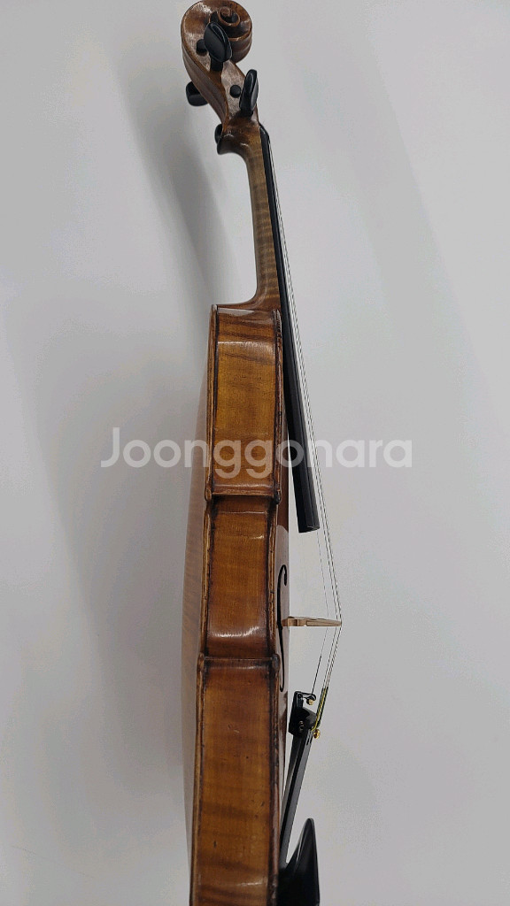 바이올린 4/4 올드 니콜라우스 아마투스--6