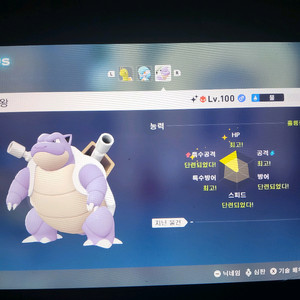 포켓몬스터 ZA레전즈 이로치 우두머리 우두로치 거북왕