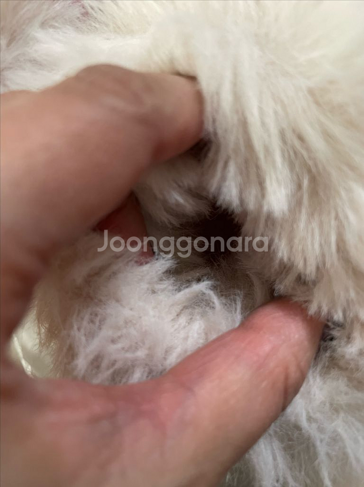 여아 겨울 털부츠 / 140사이즈--8