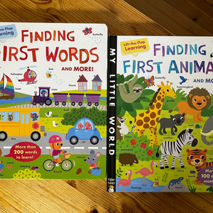 유아동 영어 플랩북 2권