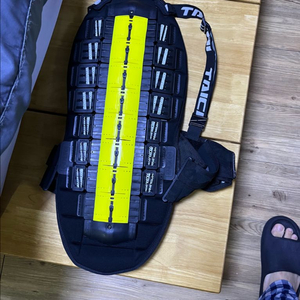 타이치 백프로텍터