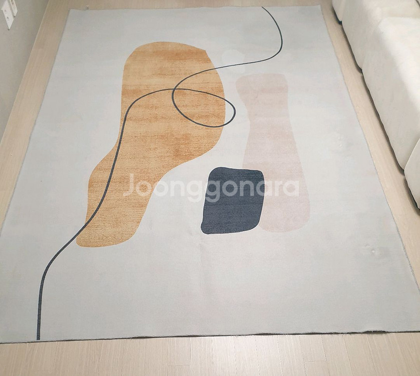 대형 러그, 아트 빈백, 1인용 쇼파, 팝니다--0