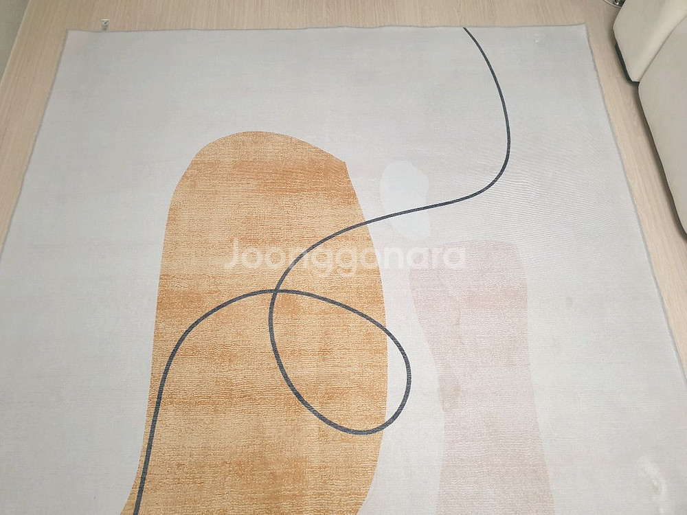 대형 러그, 아트 빈백, 1인용 쇼파, 팝니다--9