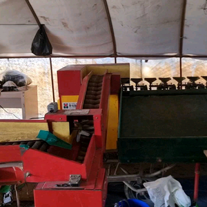 진영산업 선별기 토마토 과일