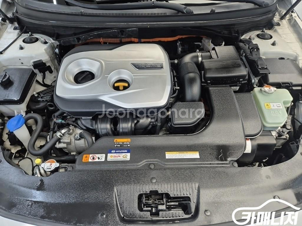 [현대]LF 쏘나타 하이브리드 2.0 모던 (5인승) #앱특가--4