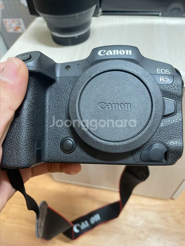 canon r5 +rf28-70 f2--3