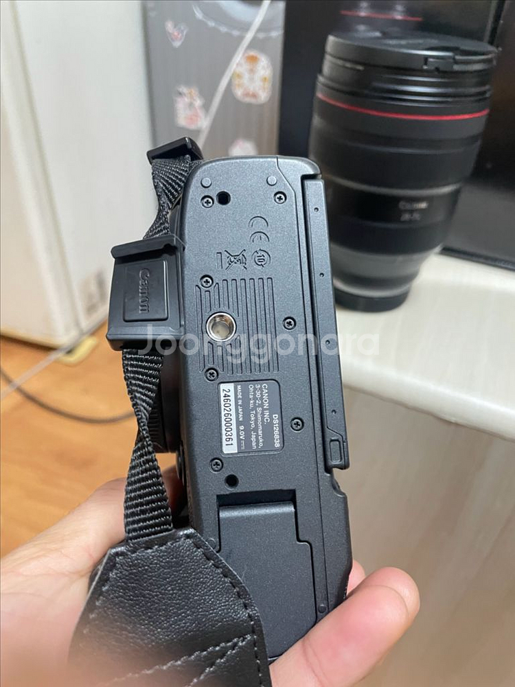 canon r5 +rf28-70 f2--1