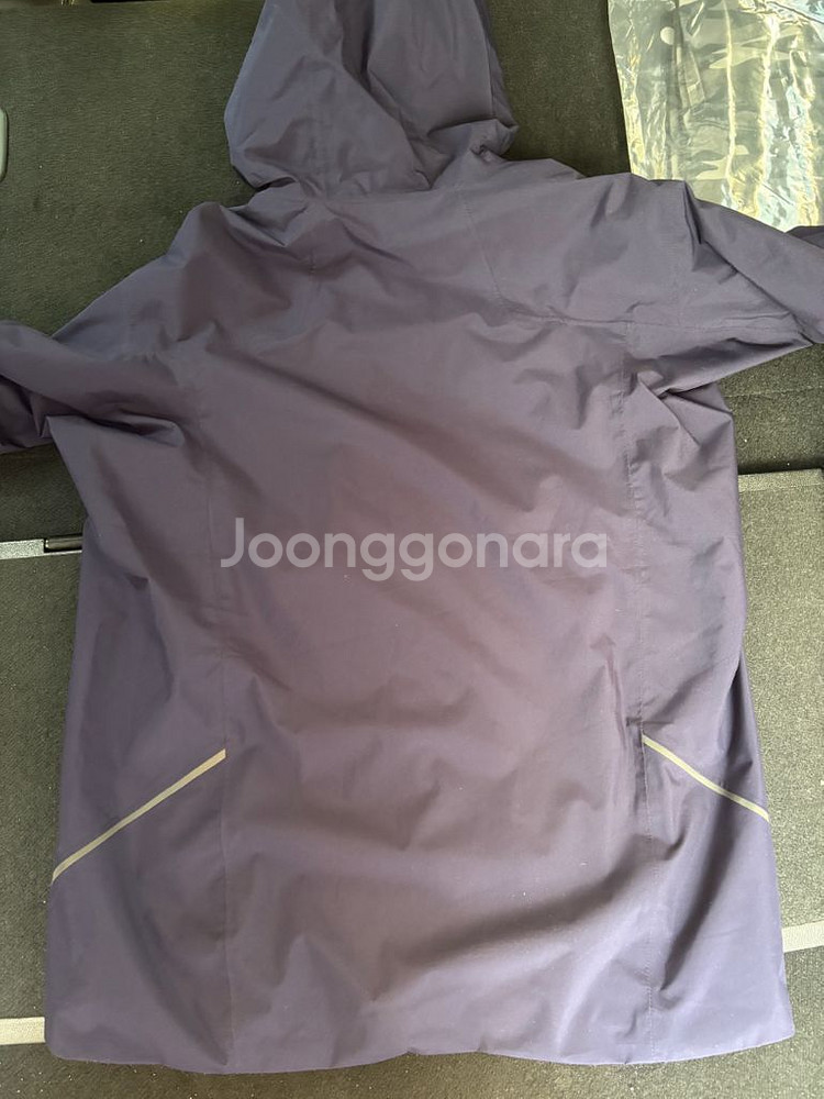 아크테릭스 솔라노 후디 M 포츈--5