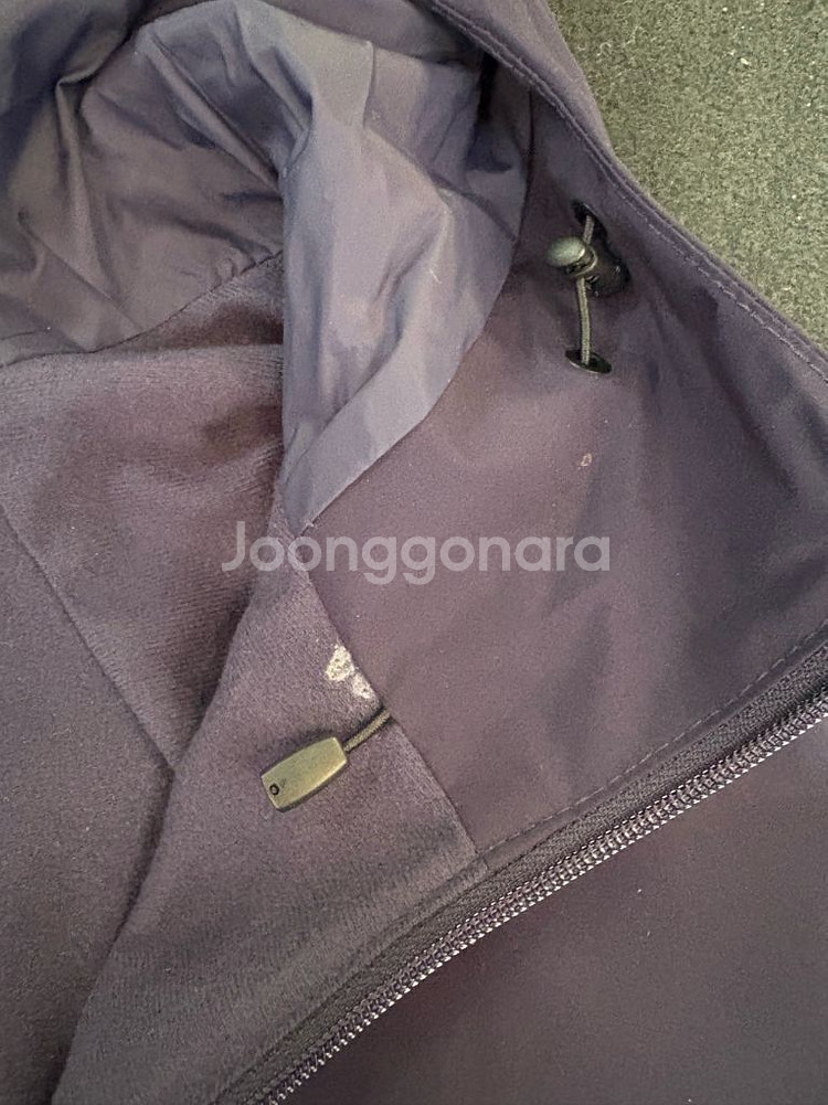 아크테릭스 솔라노 후디 M 포츈--7