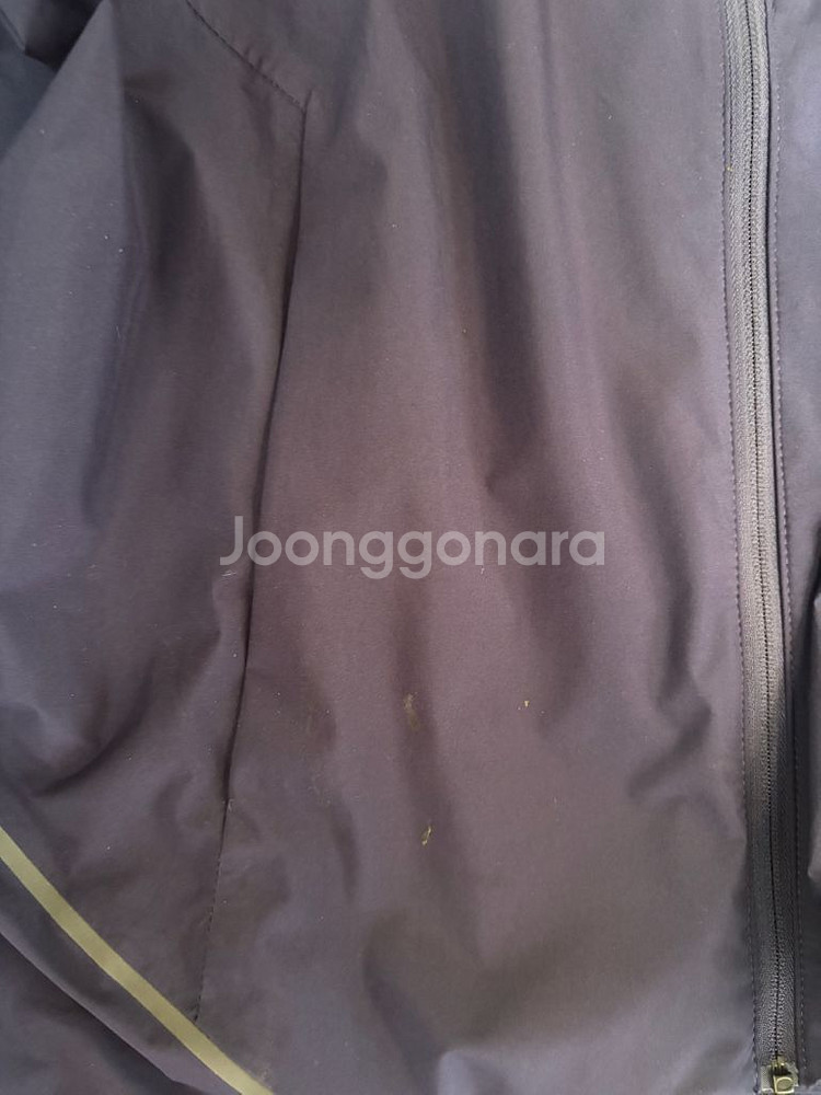 아크테릭스 솔라노 후디 M 포츈--4