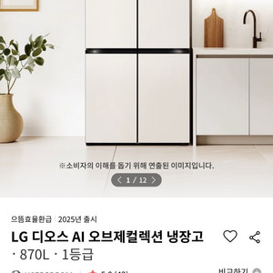 LG 디오스 AI 오브제컬렉션 냉장고 870L