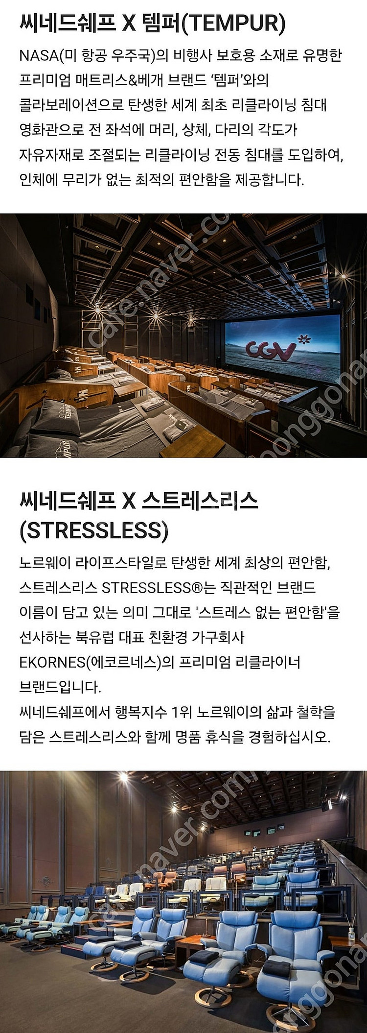 CGV 씨네드쉐프 당일 가능 (2명 템퍼 5.8만 스트레스리스 5만 )--1