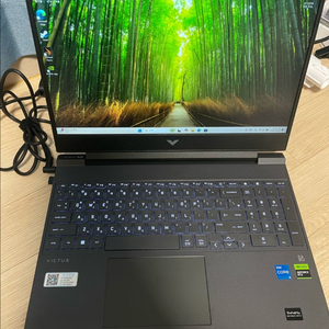 HP 빅터스 게이밍 노트북 4060판매합니다
