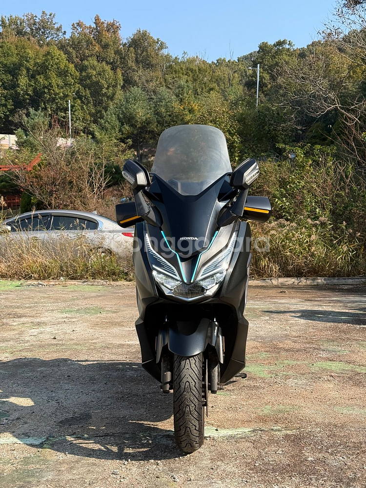 포르자300 19년식 저렴하게 판매합니다--0