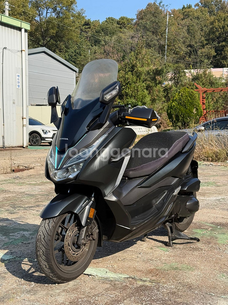 포르자300 19년식 저렴하게 판매합니다--1