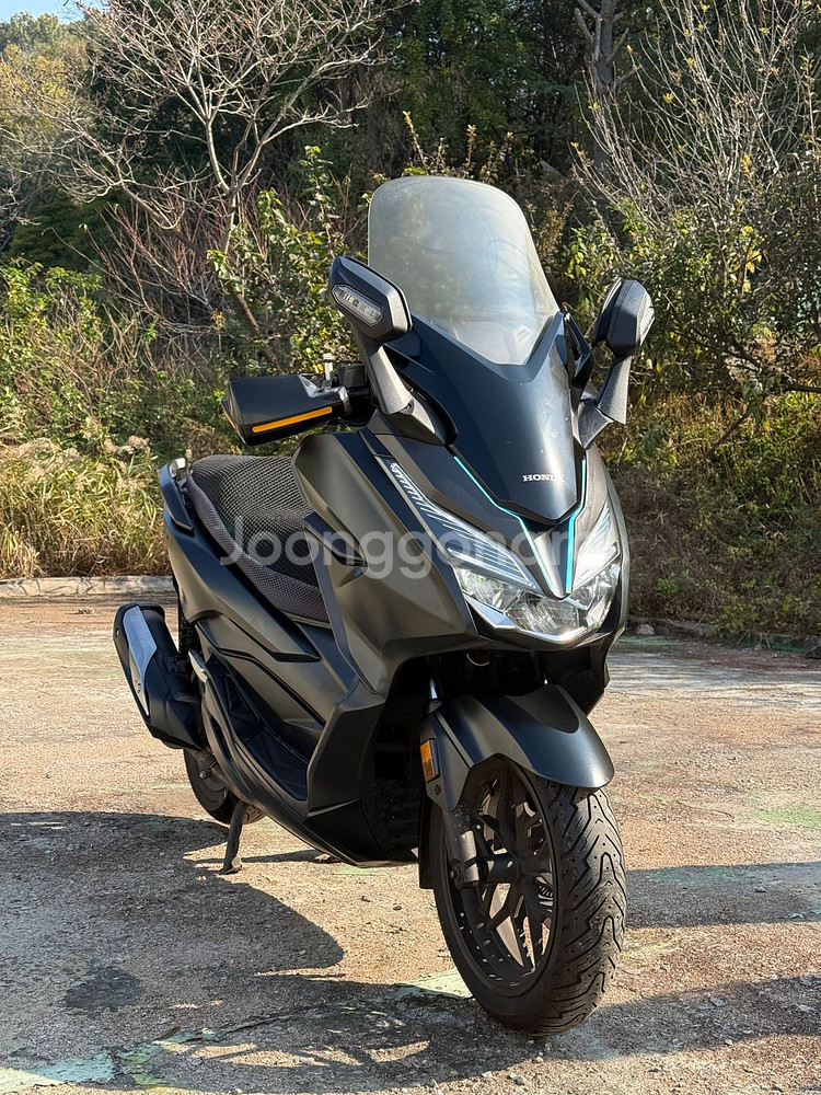 포르자300 19년식 저렴하게 판매합니다--2