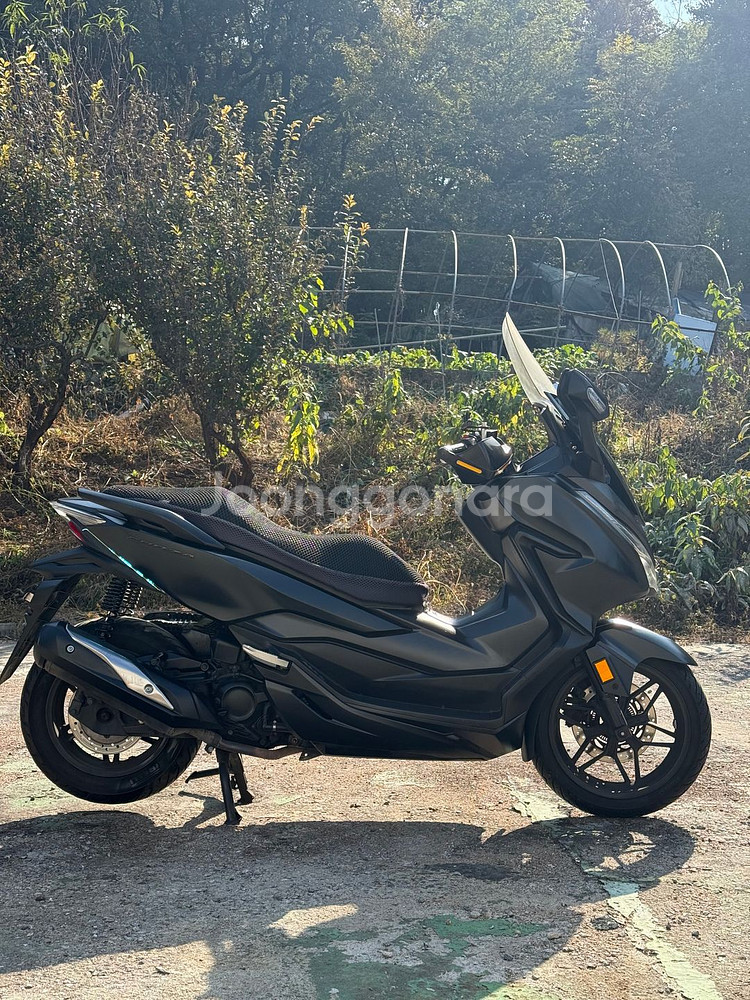 포르자300 19년식 저렴하게 판매합니다--3