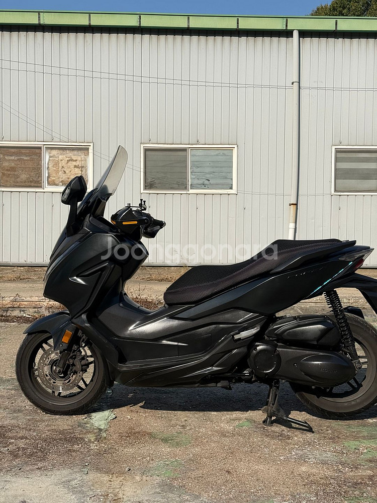 포르자300 19년식 저렴하게 판매합니다--4