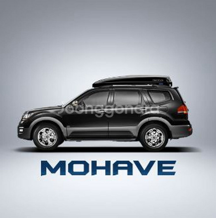 모하비 더마스터 코토 일체형 루프박스--0