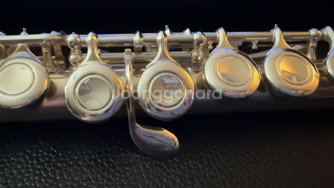 YAMAHA F100S2 야마하 플룻--6