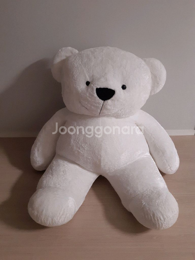 대형 곰인형, 마이멜로디 라인프렌즈 카카오 도라에몽--0