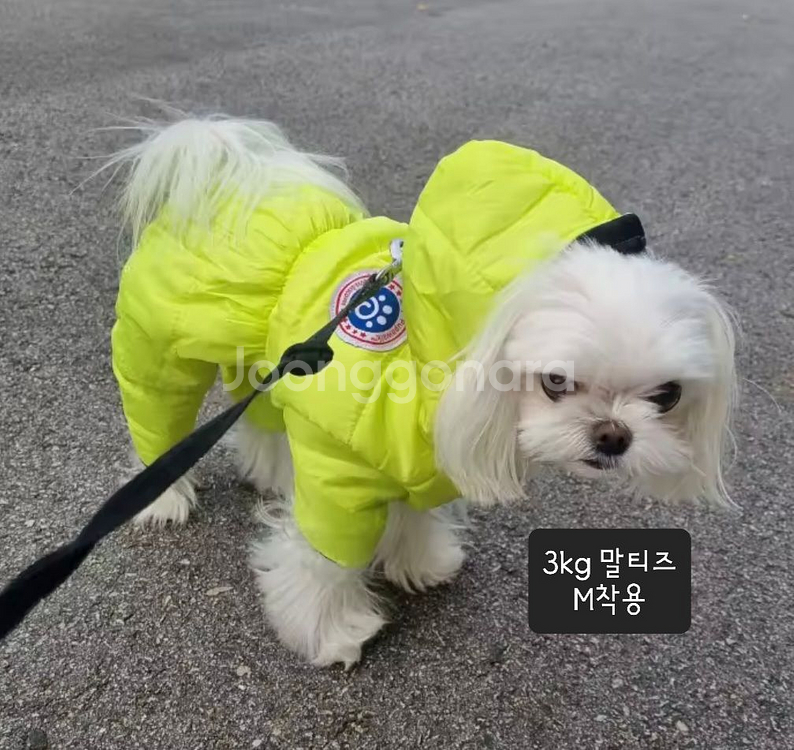 M - 3XL 방수패딩 강아지옷 애견옷--3