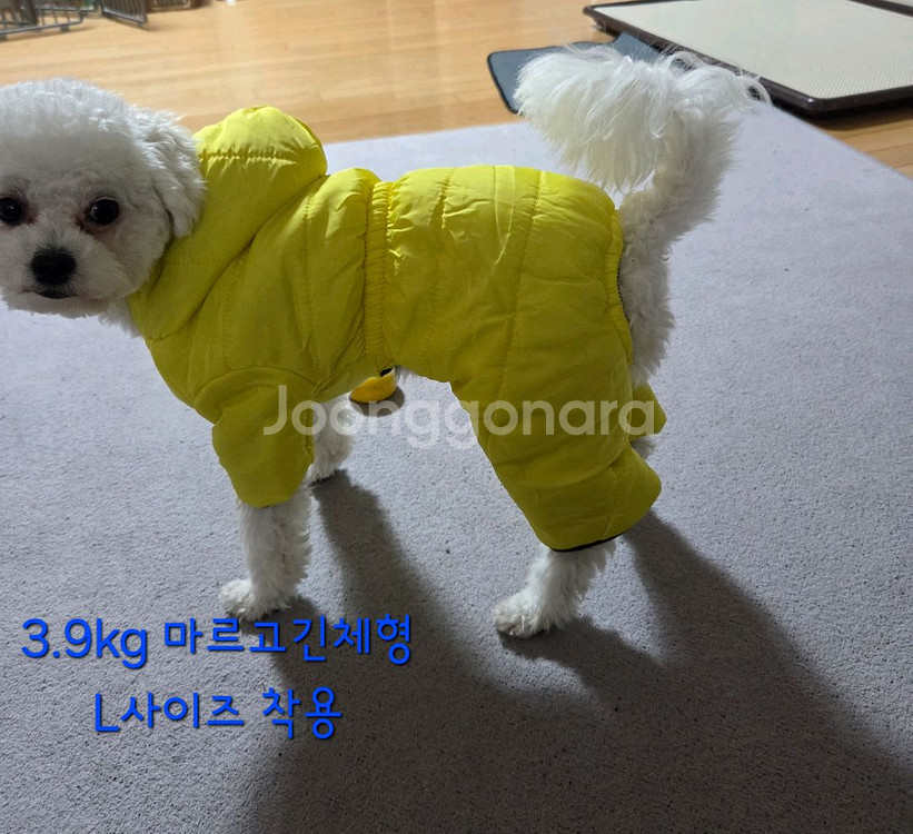 M - 3XL 방수패딩 강아지옷 애견옷--4