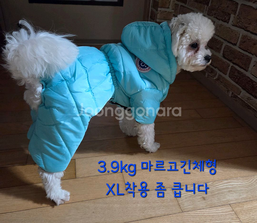 M - 3XL 방수패딩 강아지옷 애견옷--5
