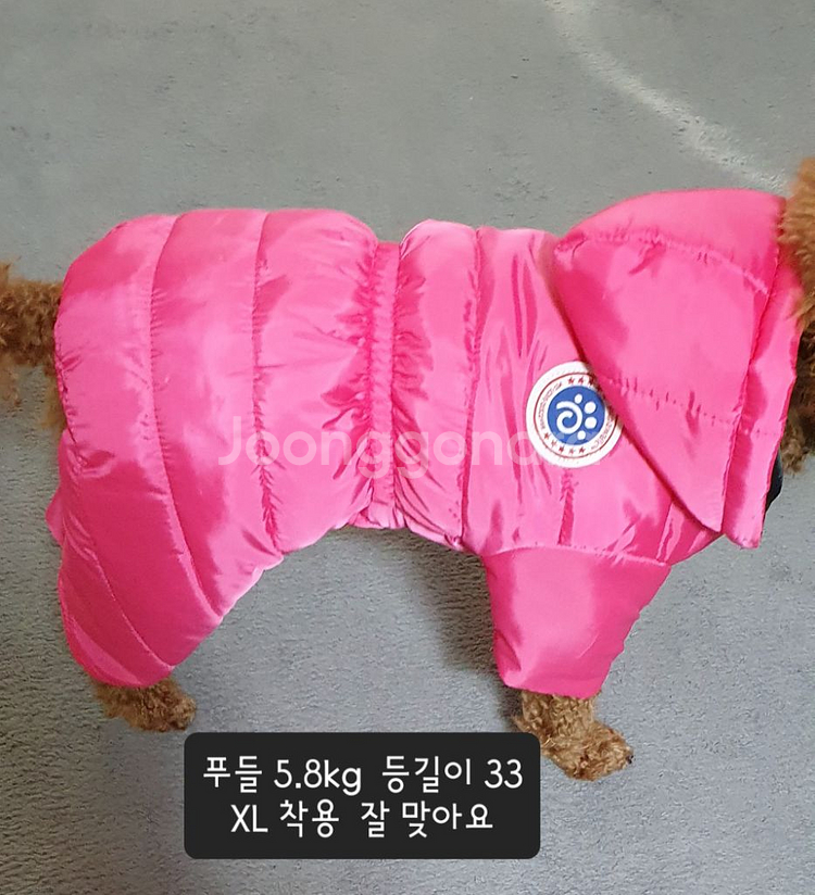 M - 3XL 방수패딩 강아지옷 애견옷--6