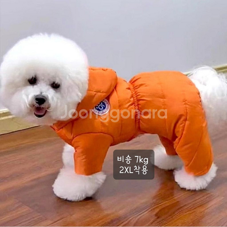 M - 3XL 방수패딩 강아지옷 애견옷--7