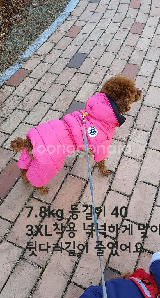 M - 3XL 방수패딩 강아지옷 애견옷--8
