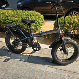 타이탄 750 펫바이크