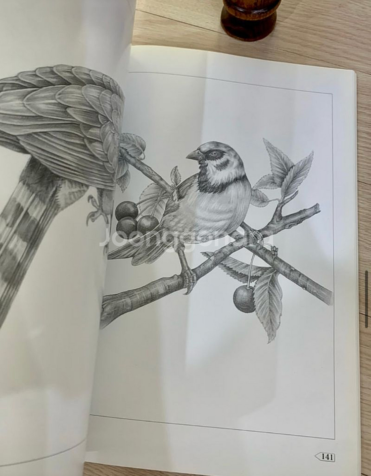 정밀묘사기법 도서 세트 /취미미술책 /미술책--5