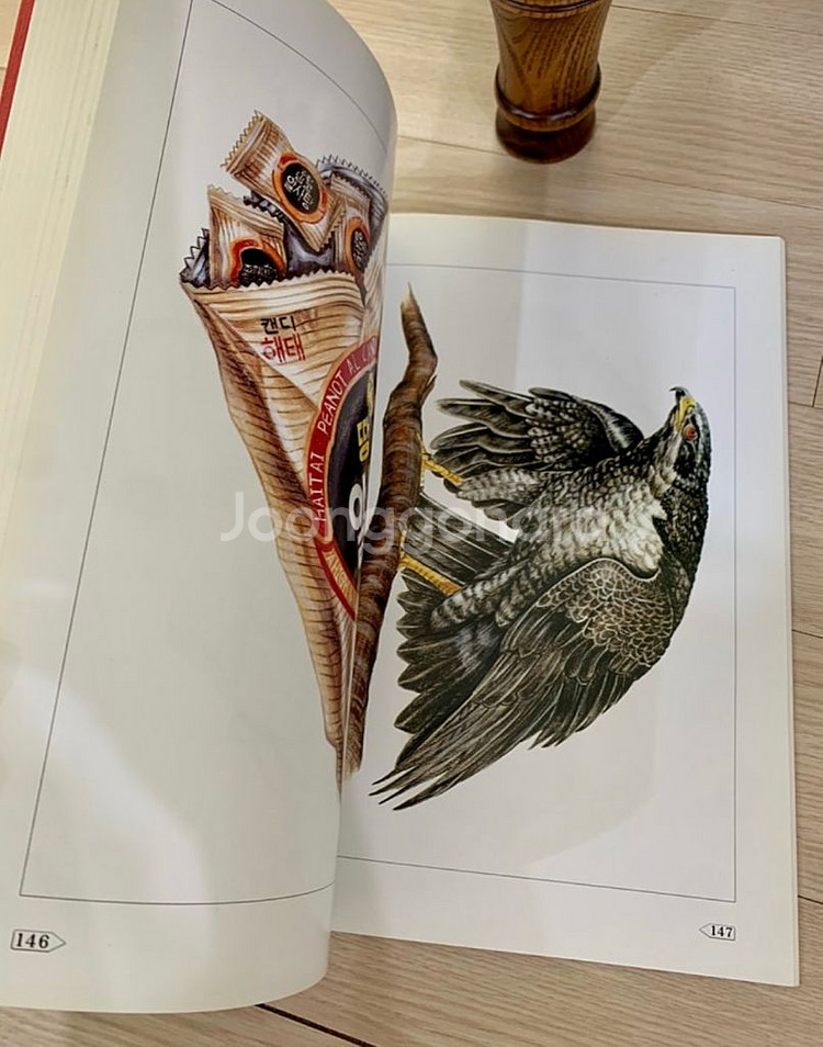 정밀묘사기법 도서 세트 /취미미술책 /미술책--3