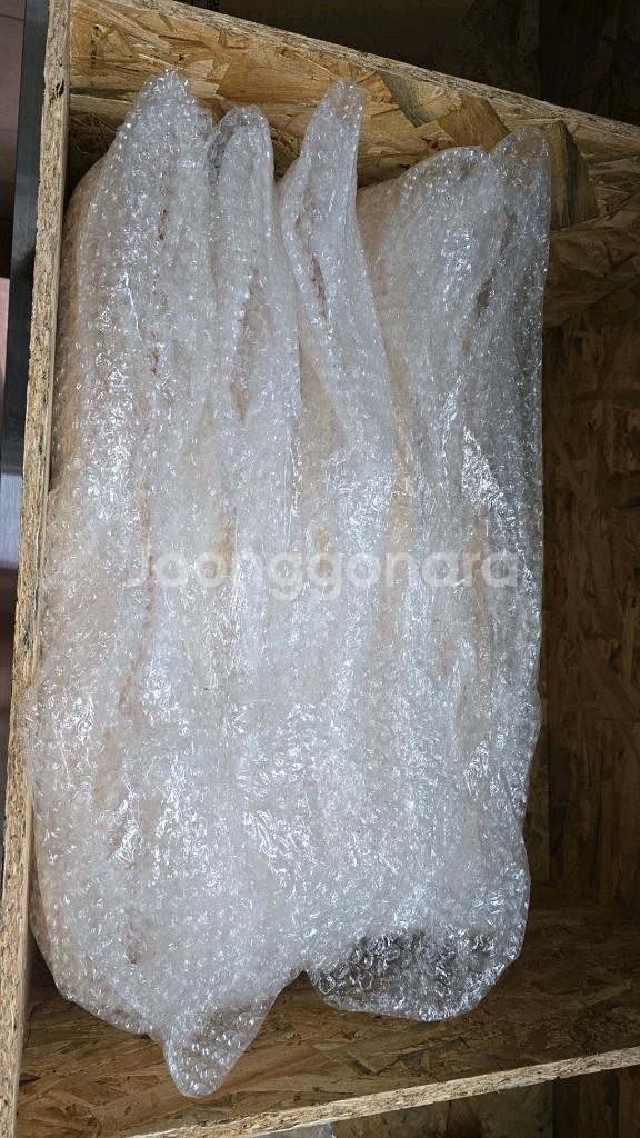 배모양 회접시--1