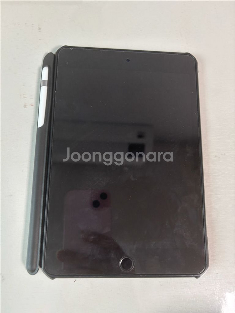 아이패드 미니5+애플펜슬1세대--0