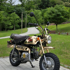 혼다 골드 몽키 Z50J 84년 한정판 50CC